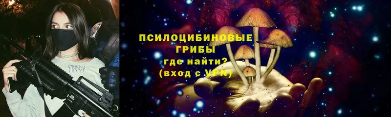 Псилоцибиновые грибы Cubensis  купить  цена  Кущёвская 